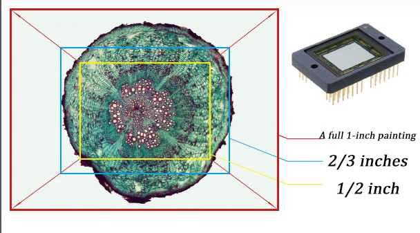 4ETC1WXVZIQ$A8M}_B~06NB.jpg